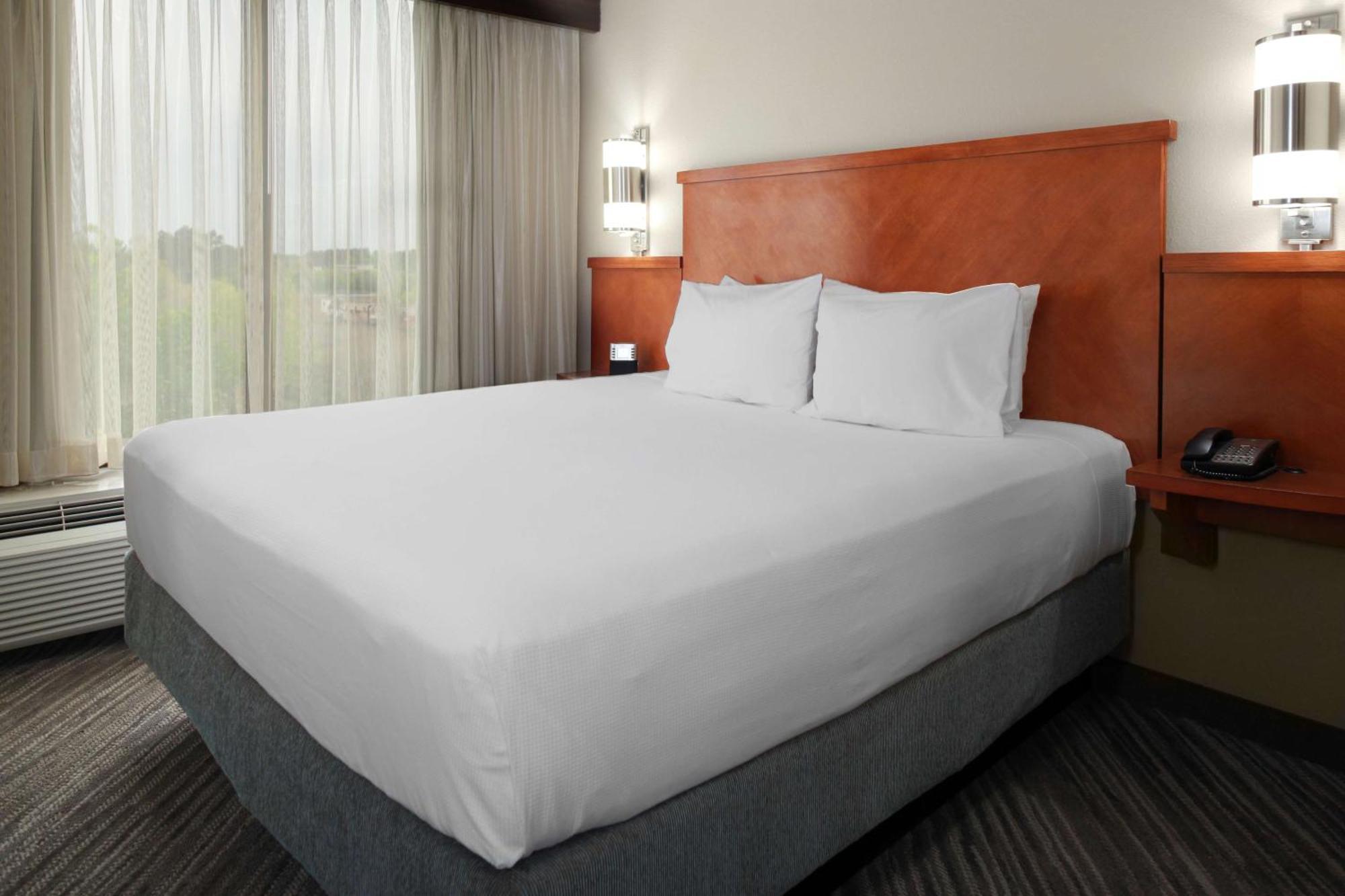 Specialty King Room Sofa Bed