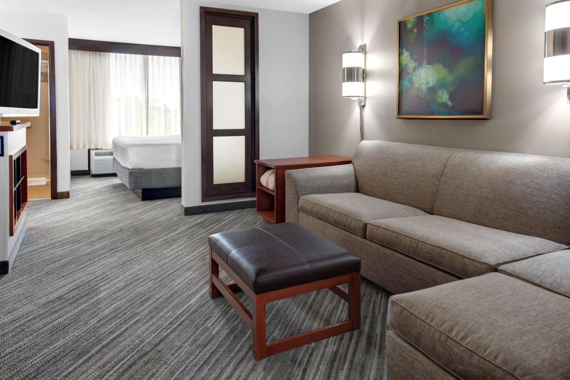 Specialty King Room Sofa Bed